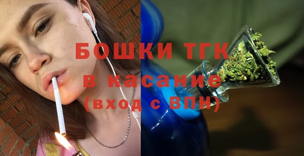 шишки Аркадак
