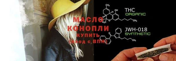 шишки Аркадак