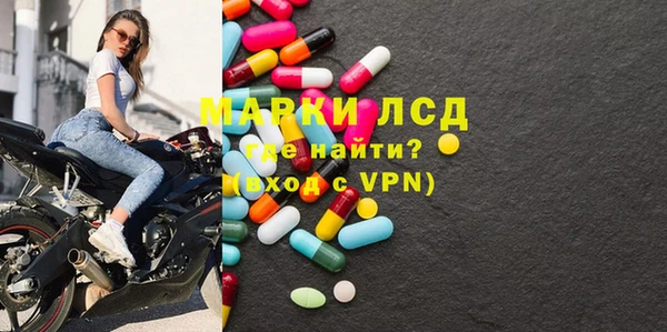 шишки Аркадак