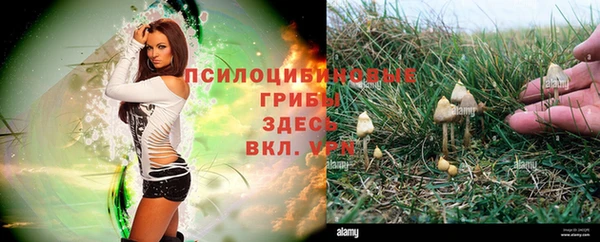jwh Арсеньев