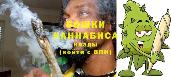 шишки Аркадак