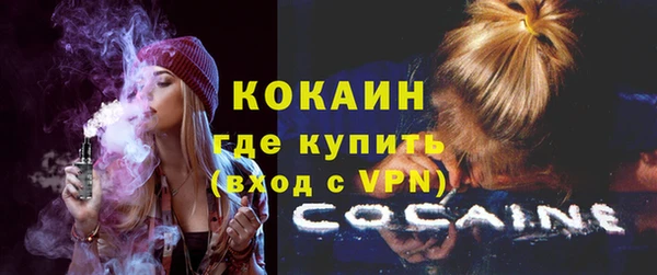 шишки Аркадак